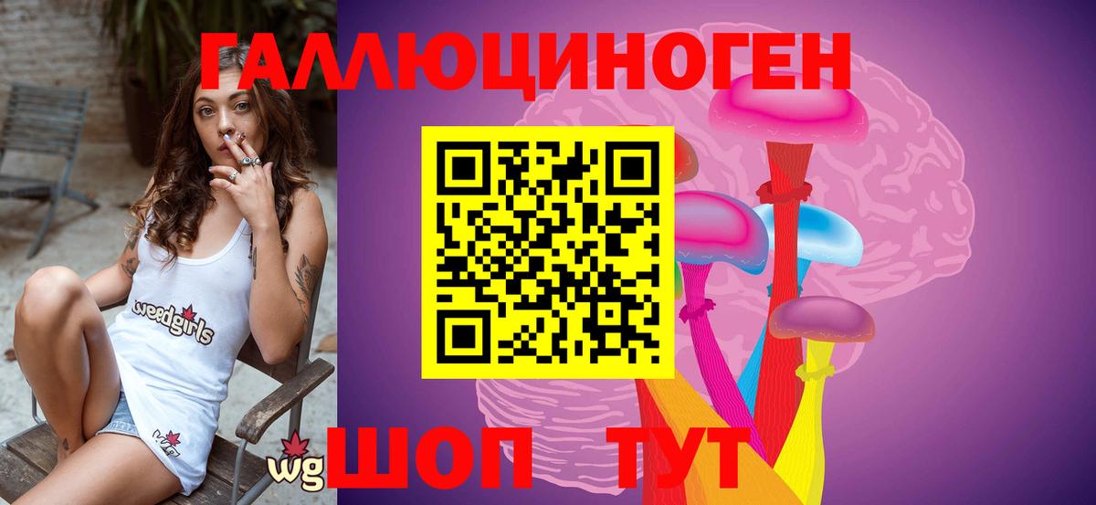 Обнинск  Галлюциногенные грибы Cubensis  Вход с VPN 